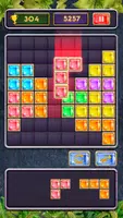 Schermata Block Jewel: Brick Puzzle Game 1