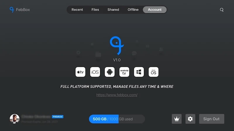 FebBox for TV Captura de pantalla 3