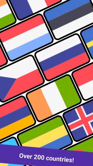Geomi — Flags & Countries স্ক্রিনশট 2