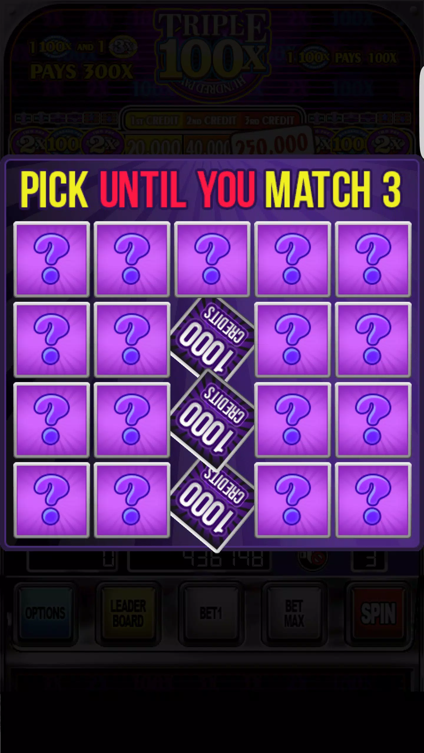 Double Wild Slots ဖန်သားပြင်ဓာတ်ပုံ 4