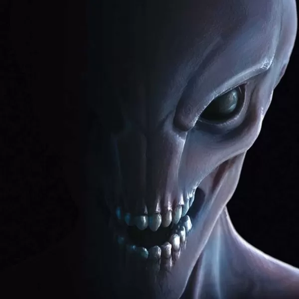 XCOM complete Bundle