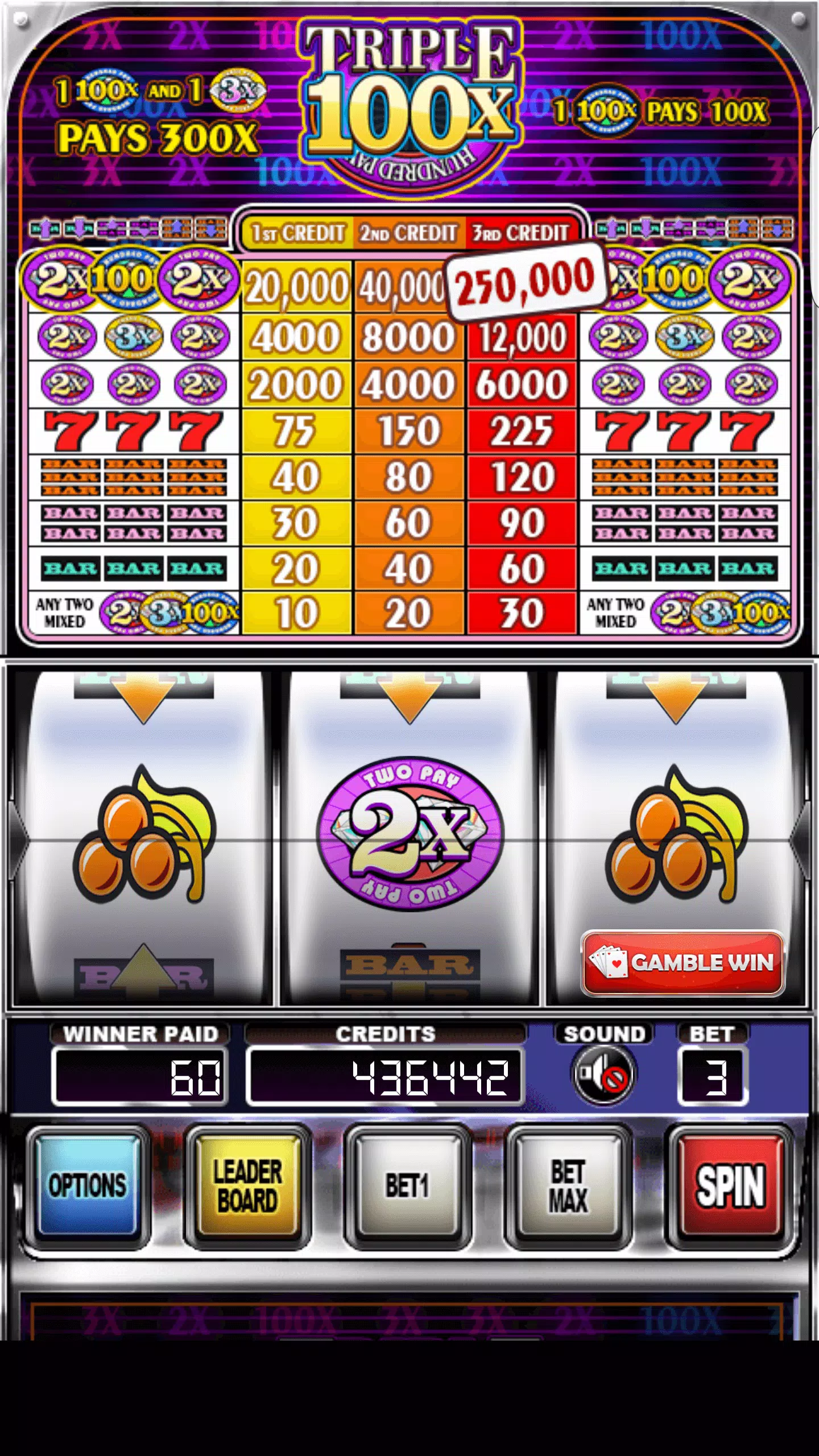 Double Wild Slots ဖန်သားပြင်ဓာတ်ပုံ 2