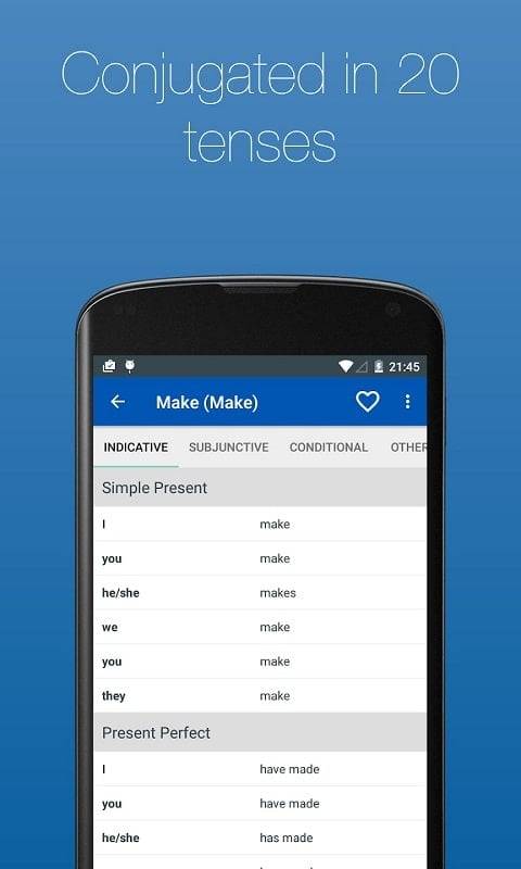 English Verb Conjugator Pro ဖန်သားပြင်ဓာတ်ပုံ 3