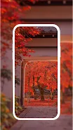 Magical Wallpaper應用截圖第4張