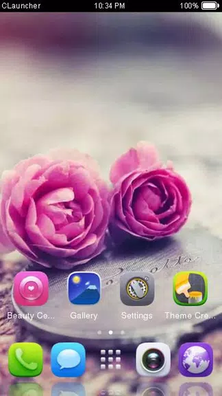 Pink Roses Theme C Launcher Capture d’écran 3