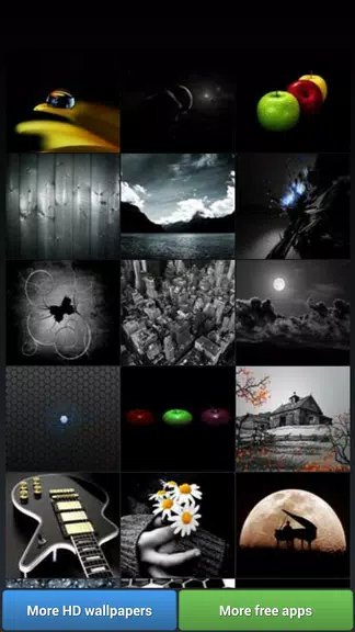 Black Theme HD Wallpapers Tangkapan skrin 2
