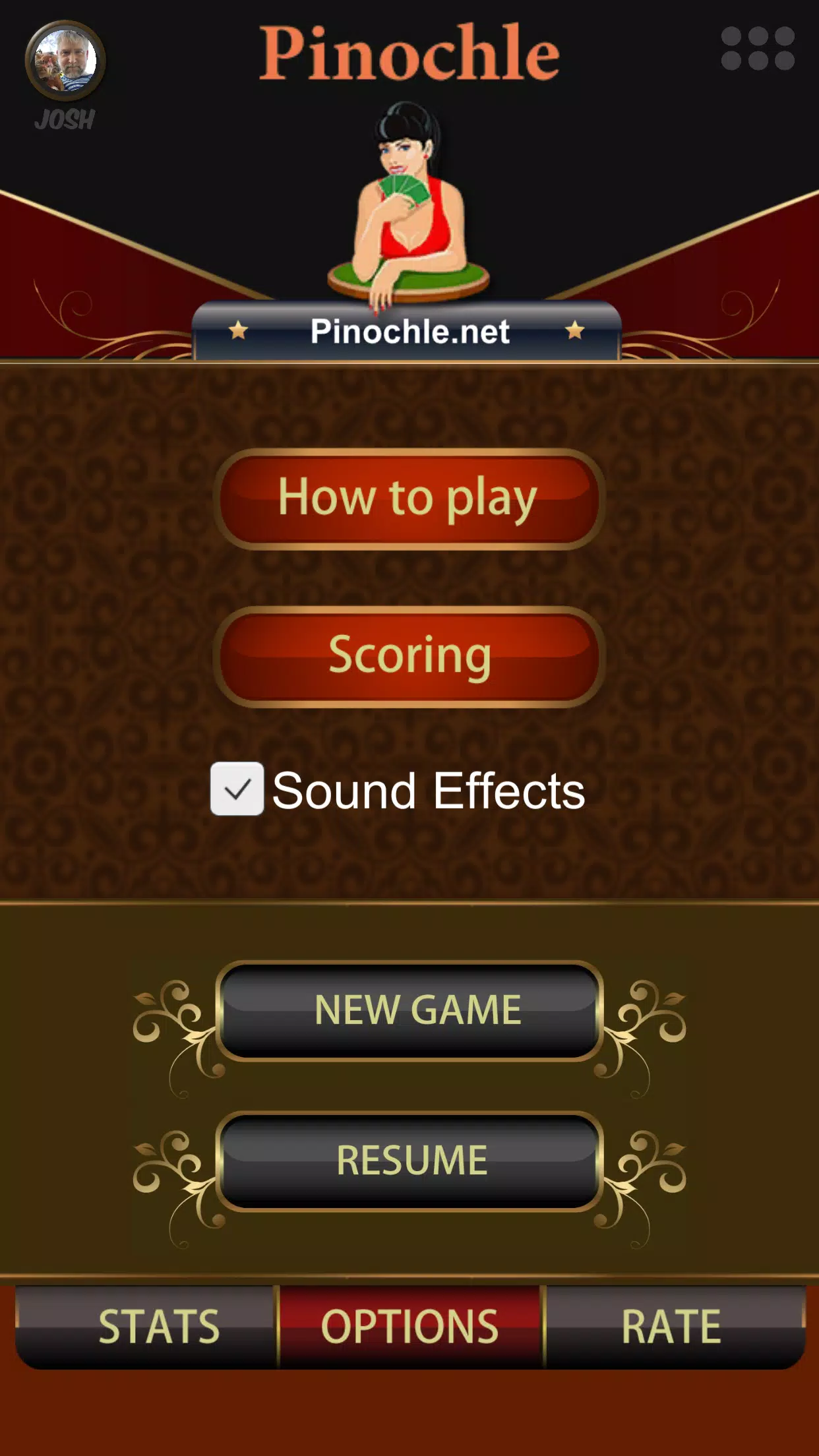 Pinochle Online Screenshot 2