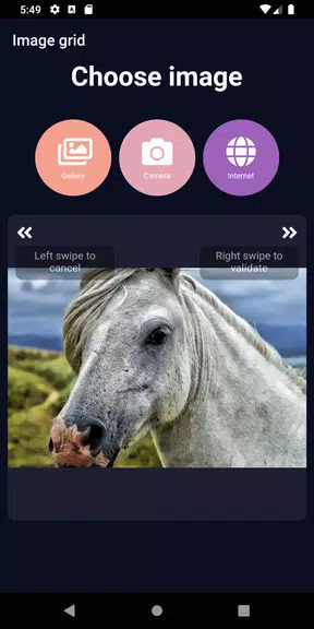 ImageGrid Screenshot 2
