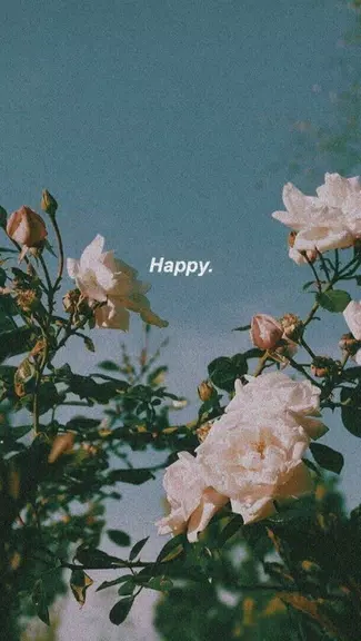 aesthetic background स्क्रीनशॉट 1