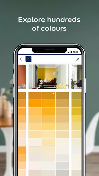 Dulux Visualizer PK স্ক্রিনশট 2