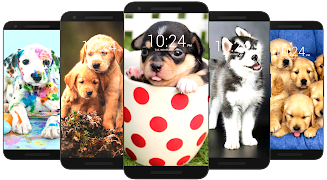 Dog Wallpaper HD Скриншот 4