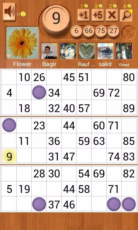 Loto Online應用截圖第1張