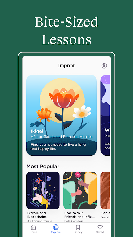 Imprint: Learn Visually Mod スクリーンショット 4