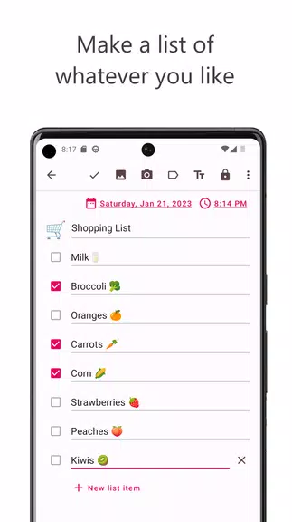 Offline Diary: Journal & Notes應用截圖第2張