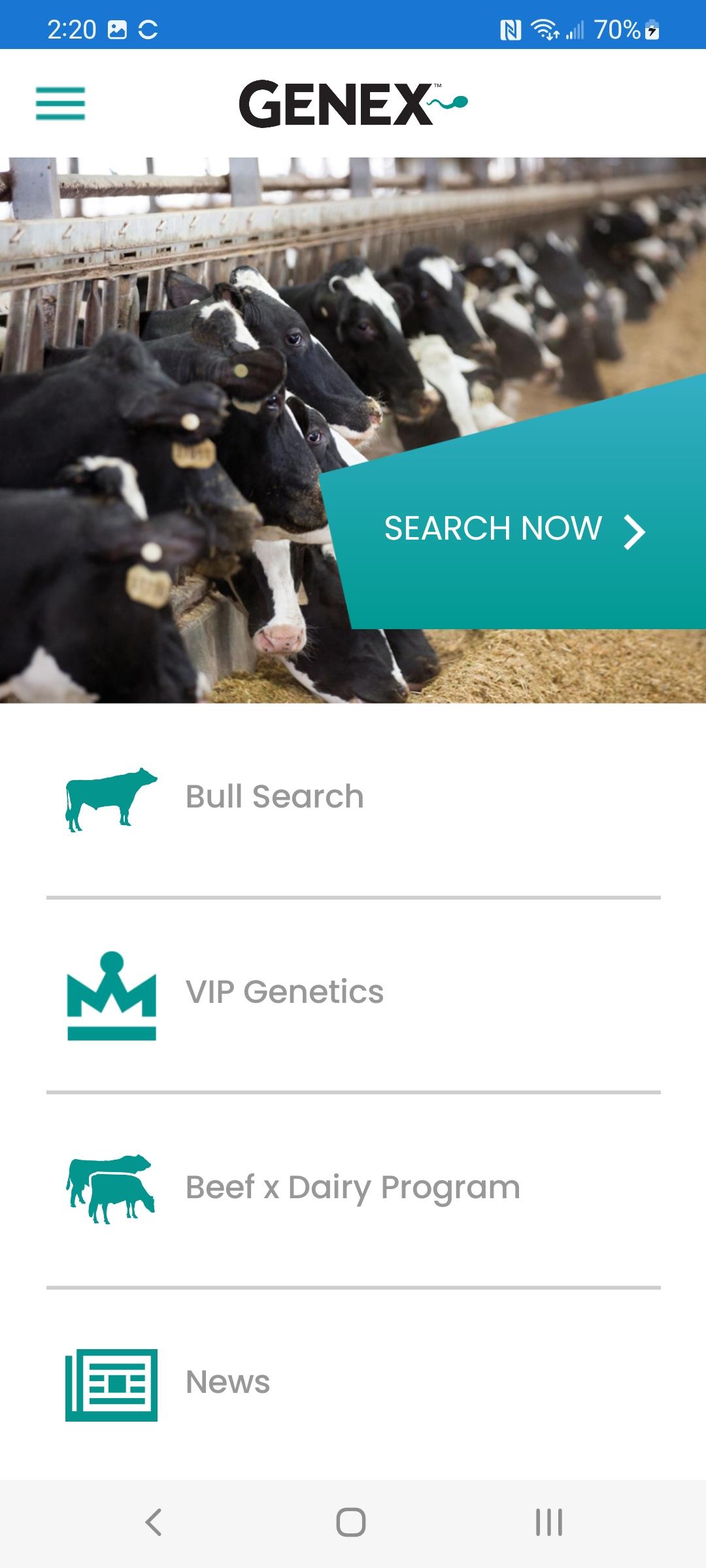Bull Search Captura de pantalla 1