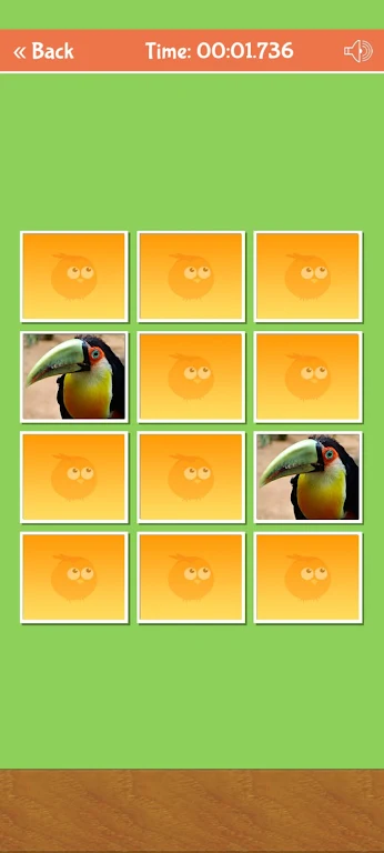 Birds Memory Match Game Скриншот 1