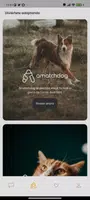 Schermata Amazdog 2