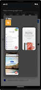 Basic Web Browser ภาพหน้าจอ 4