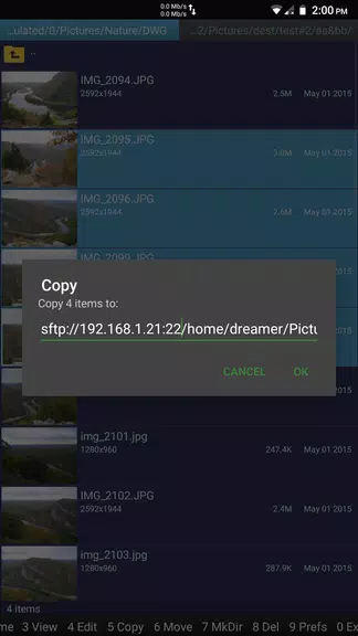SFTP plugin to Ghost Commander スクリーンショット 3
