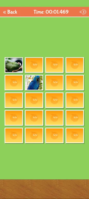 Birds Memory Match Game Скриншот 3