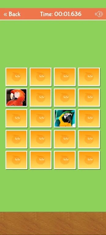 Birds Memory Match Game Скриншот 4