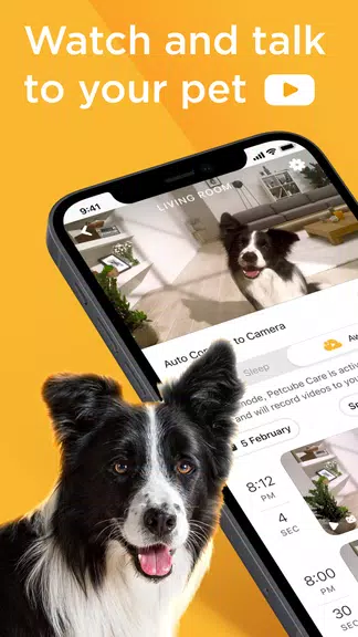 Petcube Captura de tela 1