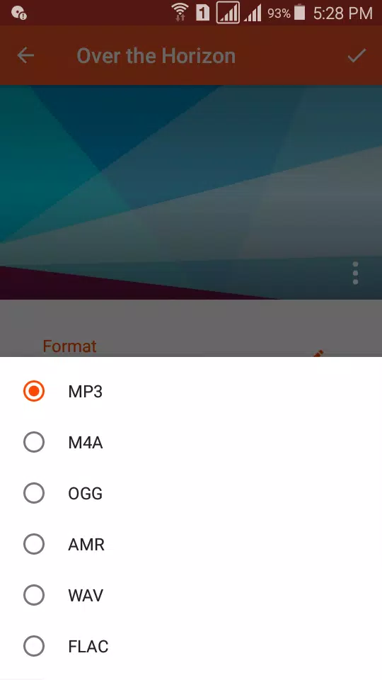 Audio Converter Ảnh chụp màn hình 2