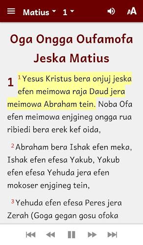 Meyah Bible應用截圖第3張