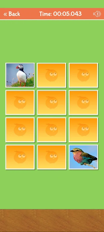 Birds Memory Match Game Скриншот 2