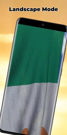 Ireland Flag Live Wallpaper应用截图第3张