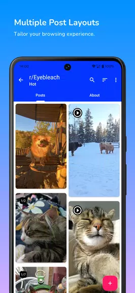 Infinity for Reddit 스크린샷 2