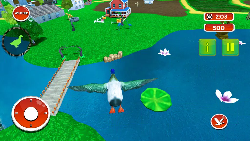 Talking Duck Bird game Ảnh chụp màn hình 3