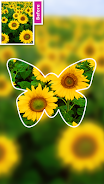 DSLR Blur Background, Bokeh bg স্ক্রিনশট 4