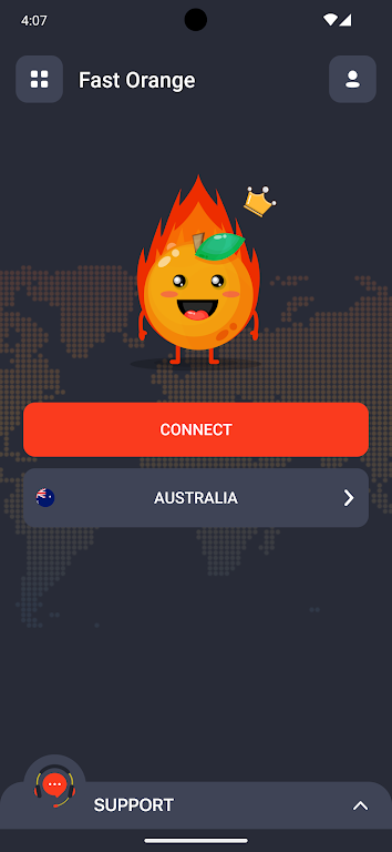 FastOrange VPN Скриншот 1