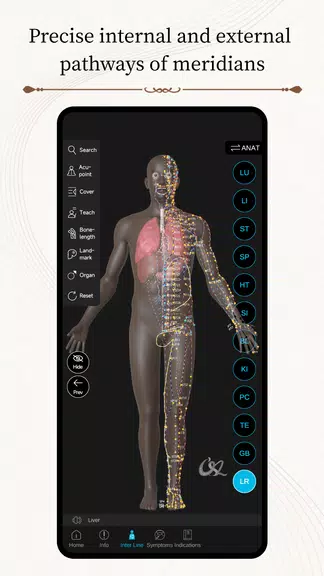 Acupuncture Master應用截圖第2張