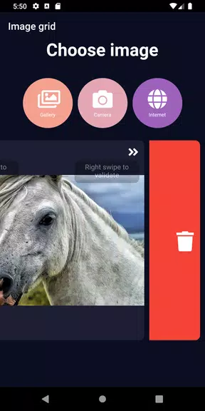 ImageGrid Screenshot 3