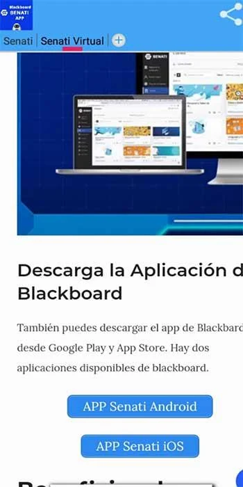 Senati Blackboard Screenshot 4