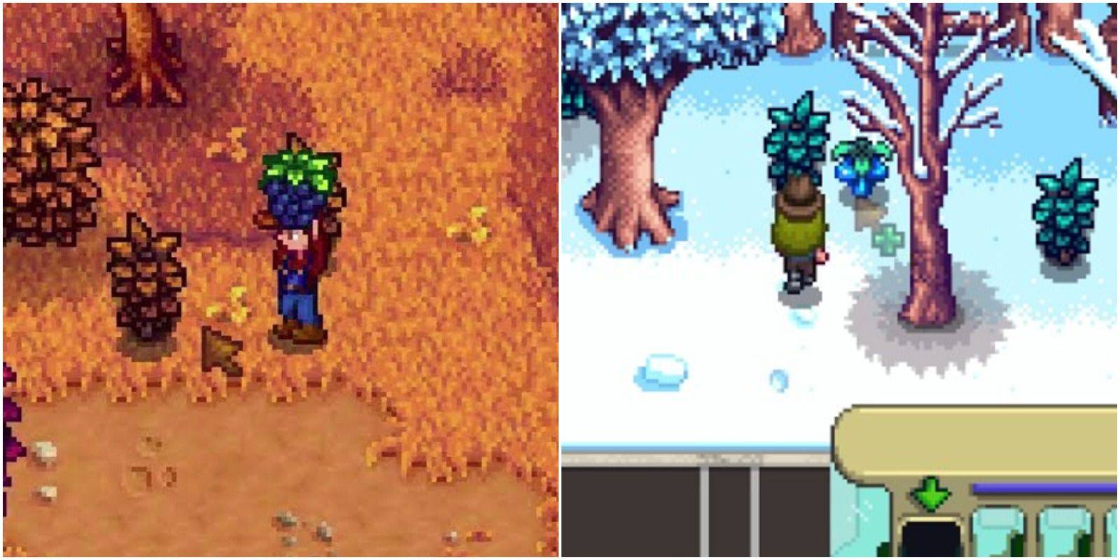 賞金首のロックを解除: Stardew Valley ですべての採集宝物を見つけよう