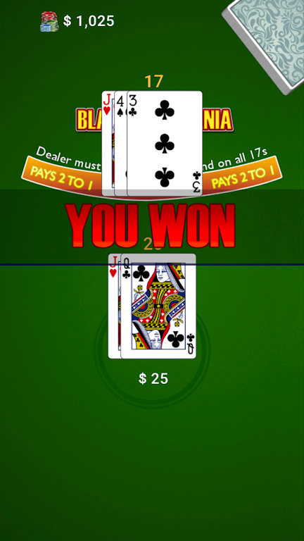 BlackJack Mania Screenshot 3