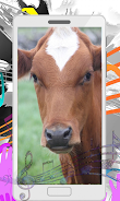 Cow Sounds Zrzut ekranu 4