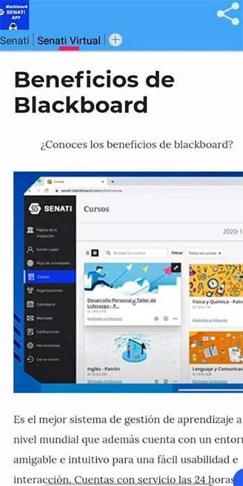 Senati Blackboard Screenshot 1