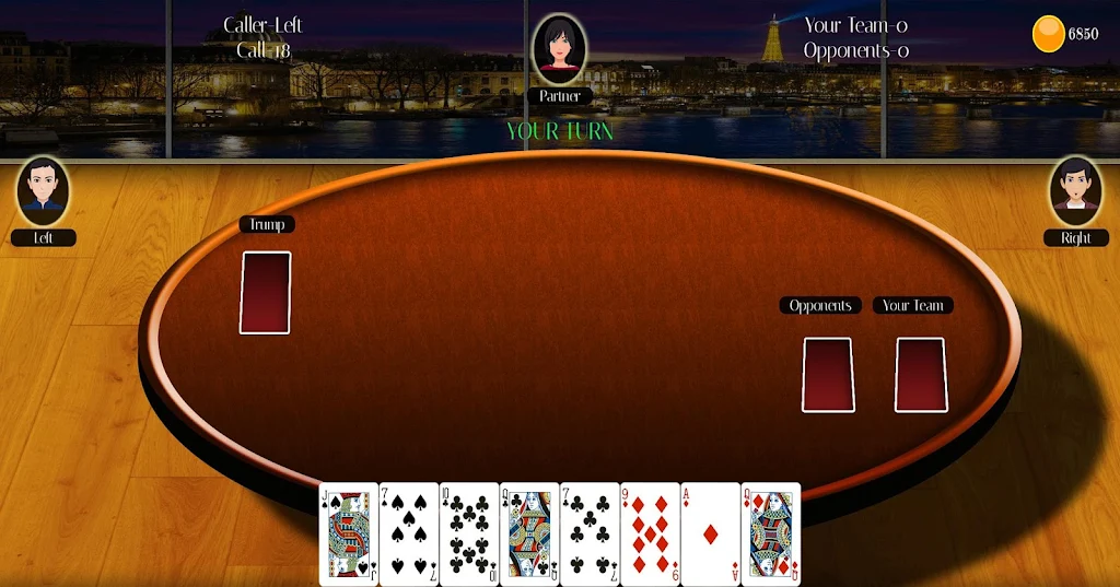 29 Card Game Lite Captura de tela 3