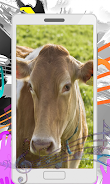 Cow Sounds Zrzut ekranu 2