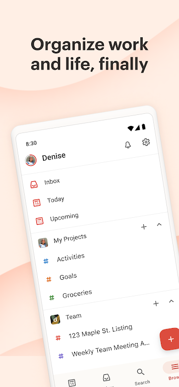 Todoist: To-do Liste & Planer Screenshot 1