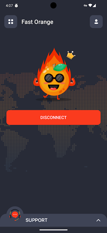 FastOrange VPN Скриншот 3