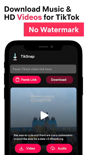 TikSnap: Downloader for TikTok ภาพหน้าจอ 1
