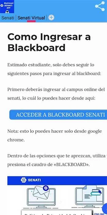 Senati Blackboard Screenshot 2
