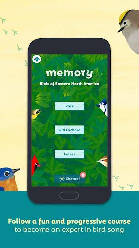 Birdie Memory Screenshot 4