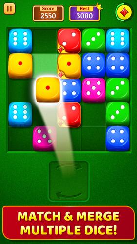 Dice Puzzle Screenshot 1