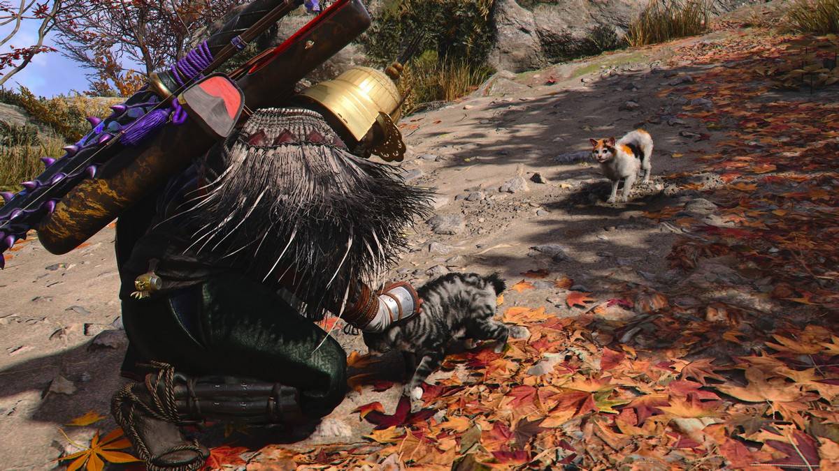 Ontdek Cat Island in Assassin's Creed Shadows: Location Guide
